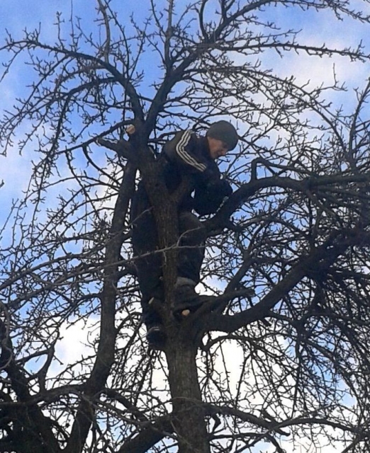 удаляем старые, больные ветви