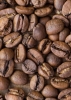 Компанія-виробник свіжосмаженої кави пропонує якісну каву в зернах  (full_coffee-vzernax-arabica-bresil-yellow-burbon.jpg)